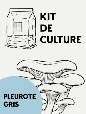 Kit 2
